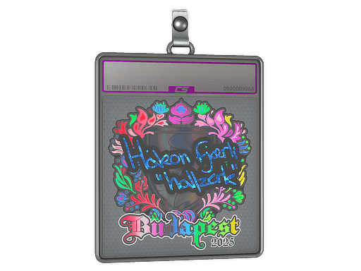 Sticker Slab | hallzerk (Holo) | Budapest 2025