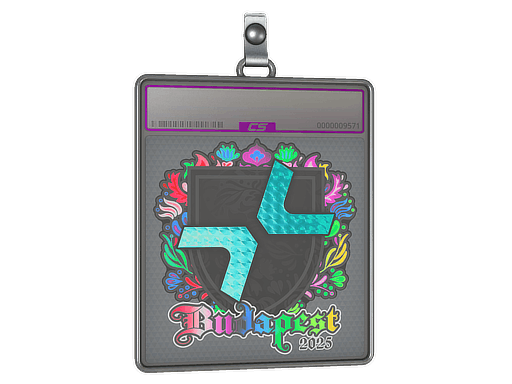 Sticker Slab | PARIVISION (Holo) | Budapest 2025