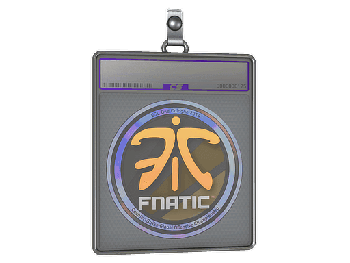 Sticker Slab | Fnatic (Holo) | Cologne 2014