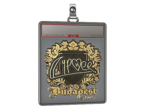 Sticker Slab | Cypher (Gold) | Budapest 2025