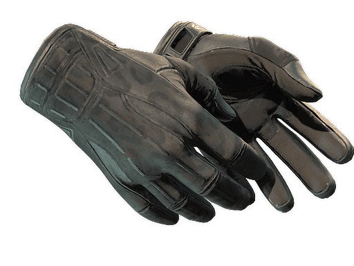 ★ Sport Gloves | Nocts