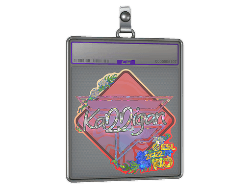 Sticker Slab | karrigan (Glitter) | Rio 2022