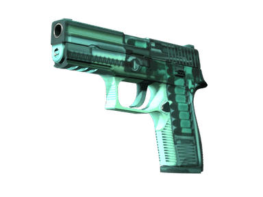 P250 | X-Ray - Factory New