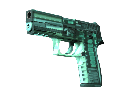 P250 | X-Ray