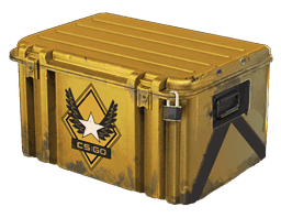 Winter Offensive Weapon Case