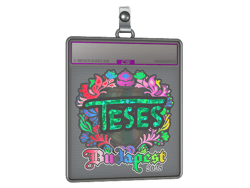 Sticker Slab | TeSeS (Holo) | Budapest 2025