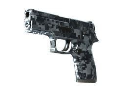 P250 | Steel Disruption