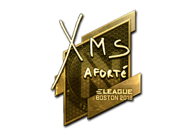 Sticker | xms (Gold) | Boston 2018