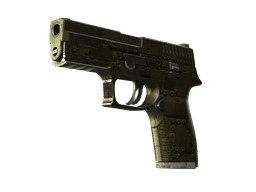 P250 | Iron Clad