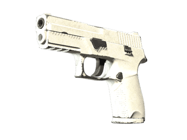 P250 | Whiteout - Field-Tested