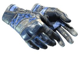 ★ Moto Gloves | Polygon