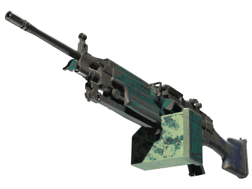 M249 | Shipping Forecast