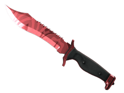★ Bowie Knife | Slaughter