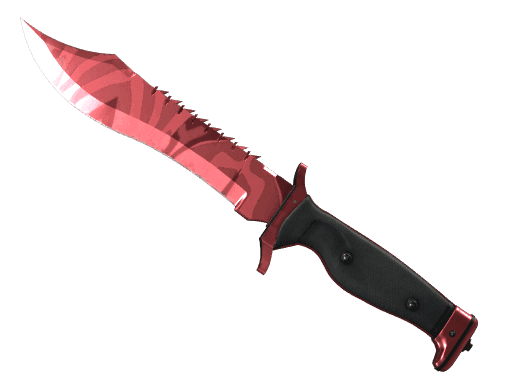 ★ StatTrak™ Bowie Knife | Slaughter