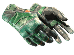 ★ Moto Gloves | Turtle