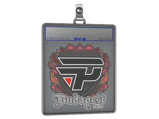 Sticker Slab | paiN Gaming | Budapest 2025