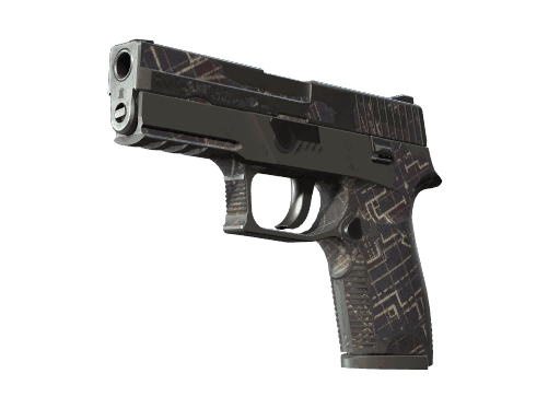 P250 | Facility Draft