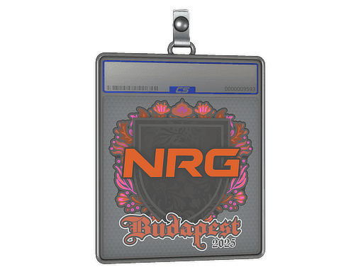 Sticker Slab | NRG | Budapest 2025