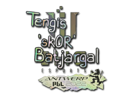 Sticker | sk0R (Holo) | Antwerp 2022